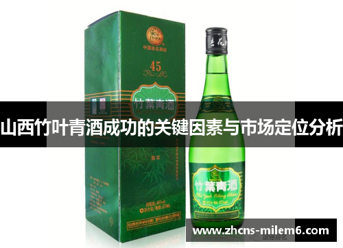 山西竹叶青酒成功的关键因素与市场定位分析