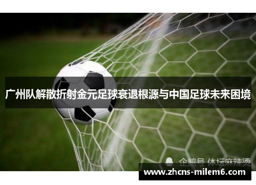 广州队解散折射金元足球衰退根源与中国足球未来困境