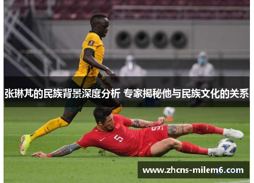 张琳芃的民族背景深度分析 专家揭秘他与民族文化的关系