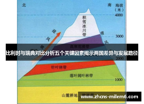 比利时与瑞典对比分析五个关键因素揭示两国差异与发展路径
