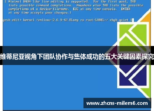 维蒂尼亚视角下团队协作与集体成功的五大关键因素探究