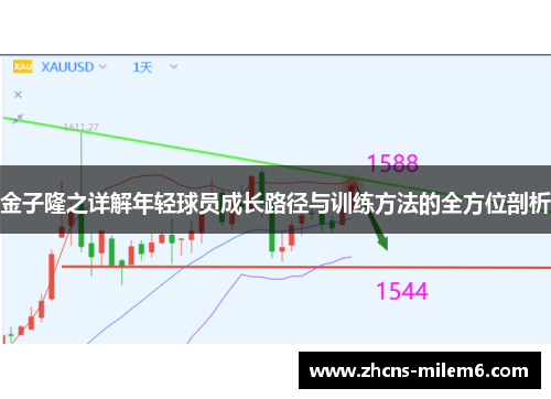 金子隆之详解年轻球员成长路径与训练方法的全方位剖析