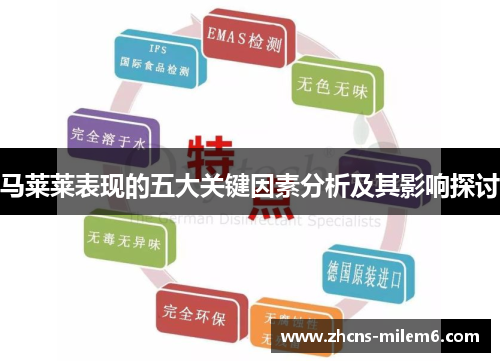 马莱莱表现的五大关键因素分析及其影响探讨